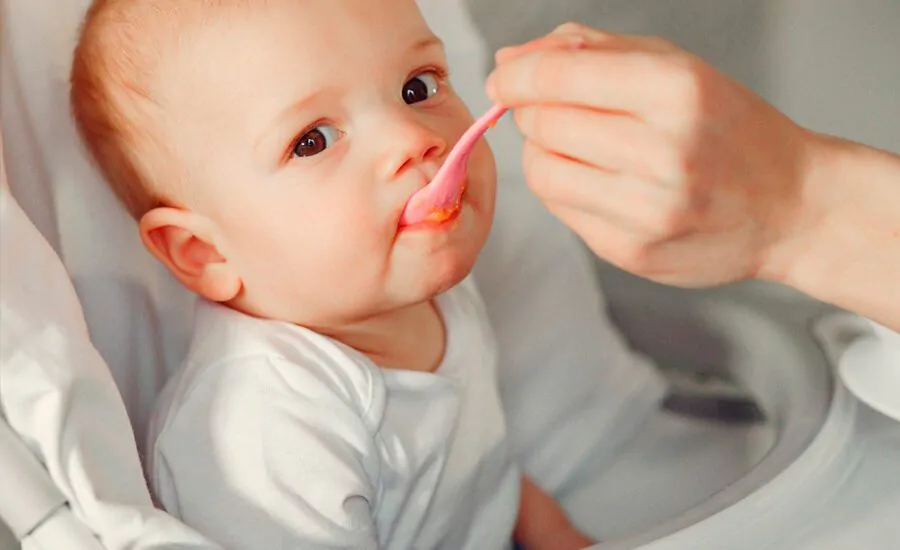 Alimentação no primeiro ano de vida